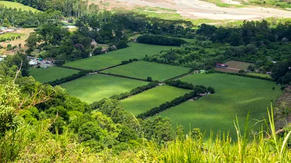 Ce impozit plătești pentru terenurile intravilane în 2025. Tot ce trebuie să știi