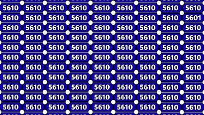 Crezi că ai IQ de Einstein? Atunci poţi găsi în imagine alt număr în afară de 5610, în doar 7 secunde