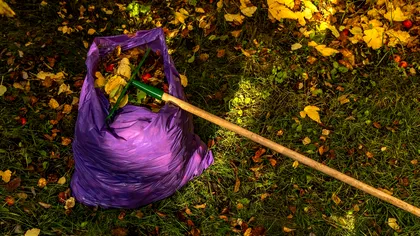 Amendă de până la 3.000 de lei pentru gunoiul din curte. Orice vecin te poate reclama