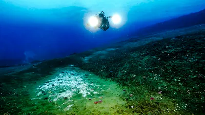 Descoperire alarmantă pe fundul mării în Antarctica, care îngrijorează și poate fi un semnal de risc pentru încălzirea globală