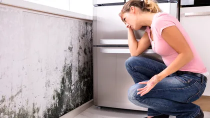 De ce apare mucegaiul pe pereți și cum îl elimini corect. Soluții utile, pas cu pas