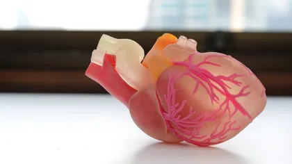 INTERVIU O nouă eră în cercetarea cancerului: cum transformă Vital3D modelele tumorale bioprintate - Vidmantas Šakalys, CEO Vital3D Technologies