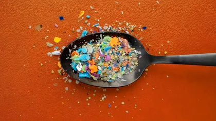 Plasticul din noi: Cum ne pot schimba microplasticele sănătatea și mintea, dar și ce putem face, conform cercetătorilor