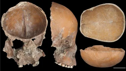 Descoperirea neobișnuită din China care amintește de povestea lui Ed Gein: Oase umane transformate în cupe și măști în urmă cu 5.000 de ani