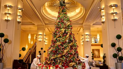 Când e momentul ideal pentru bradul de Crăciun, ca să reziste cât mai bine până la sărbători