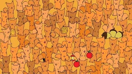 Iluzie optică. Poţi vedea şoricelul ascuns printre veveriţe în 30 de secunde?