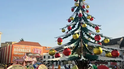 Bradul din centrul Timișoarei, aspru criticat de cetăţeni. 