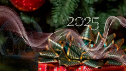 Cum arată bradul de Crăciun la modă în 2025 și cât te costă să-l împodobești. Magia sărbătorilor te poate lăsa fără câteva sute de lei pentru un pom pe placul experților. REPORTAJ