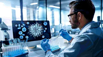 Celule imune speciale care încetinesc îmbătrânirea: descoperirea care poate schimba medicina viitorului