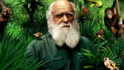 24 noiembrie în oglinda istoriei: evenimente, descoperiri și transformări care au modelat lumea