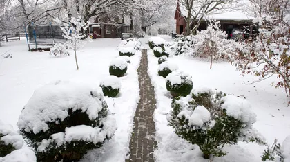 Cod galben de ninsori, lapoviță și ploi în România, Bucureştiul este şi el afectat de vremea rea. Zăpada va ajunge la 15 cm