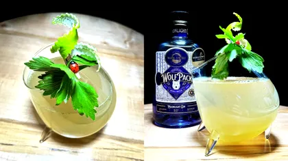 Uniunea Europeană se bagă în industria băuturilor. În ce condiții poate fi folosit numele de „gin” de acum încolo