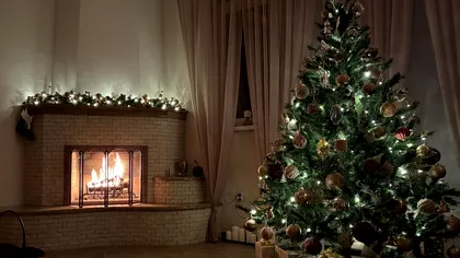 Brazii naturali de Crăciun vs. cei de plastic: de ce alegerea verde e mai bună pentru mediu