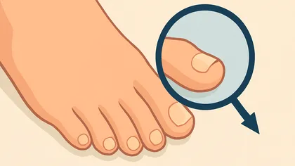 Care este, de fapt, rolul degetului mic de la picior. Oamenii de știință au răspunsul la această întrebare