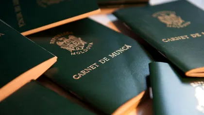 Cum îți verifici cartea de muncă online: ghid complet pentru REGES, ANAF și CNPP