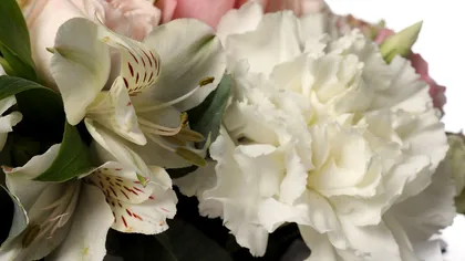 Florile pe care nu ar trebui să le dăruiești niciodată. Greșelile ce pot strica un moment special