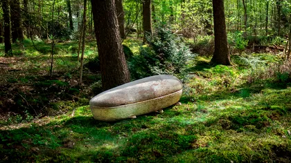 Primul sicriu biodegradabil din lume, făcut din ciuperci: revoluția ecologică ce transformă ritualurile funerare