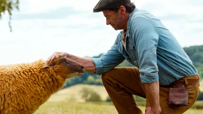 The sheep detectives, filmul cu Hugh Jackman în care o turmă de oi rezolvă o crimă, a primit trailer și dată de lansare. Când vezi „Turma vede urma” în cinematografele din România