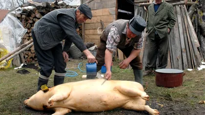 Tradiții și obiceiuri de Ignat 2025. Ce nu este bine să faci pe 20 decembrie, e considerat mare păcat