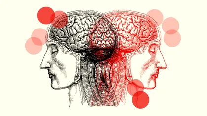 Studiu genetic uriaș: tulburările psihice se grupează în cinci „familii” comune, nu în diagnostice complet separate