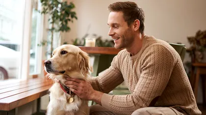 Cum îşi aleg câinii stăpânii: detaliul care contează pentru patrupede