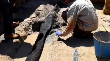 Structura din lemn veche de aproape jumătate de milion de ani care schimbă tot ceea ce știam despre preistorie. Unde a fost făcută descoperirea, de fapt