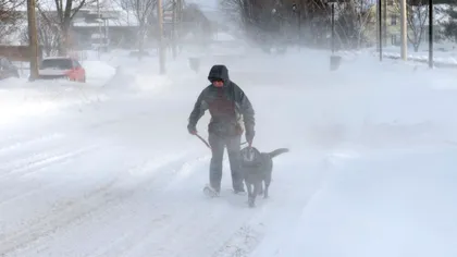 Vânt puternic și ninsori viscolite până în seara de Revelion. Cod galben în mai multe regiuni din țară