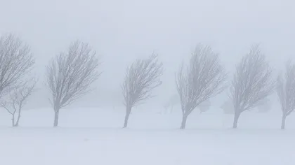 Aer siberian deasupra României. Prognoza meteo până pe 16 februarie nu aduce veşti bune