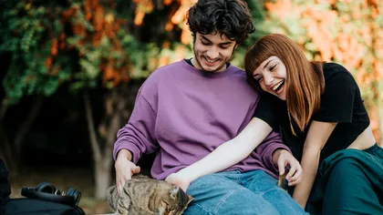 Ce înseamnă când pisicile își freacă capul de tine sau de obiecte: secretul comunicării prin miros