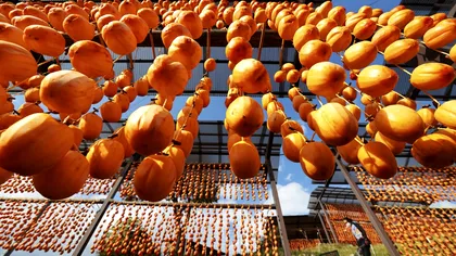 Fructul lui Dumnezeu, un deliciu care se găseşte şi în România. Costă câţiva lei, dar are multe proprietăţi