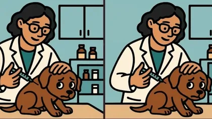 Găsește cele 3 diferențe în doar 23 de secunde. Provocarea începutului de an face furori în mediul online