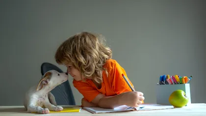 O nouă materie pentru elevii de clasele a V-a şi a VI-a, conform unui proiect. Ce este 