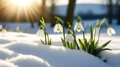 Primăvara nu mai vine când ne așteptăm: Meteorologii Easeweather explică de ce anul 2026 este atipic