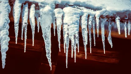 Ţurțur sau țurțure: 80% dintre români folosesc forma greşită