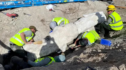 Fosile uriașe de dinozaur, descoperite întâmplător la prima excavare după peste 100 de ani