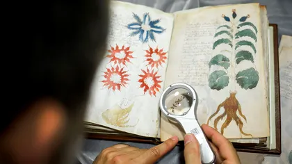 Ce ar putea explica noul cifru „Naibbe” despre manuscrisul Voynich