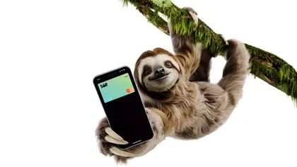 Euro în câteva secunde: Salt Bank lansează transferuri instant direct din aplicație, către peste 30 de țări europene