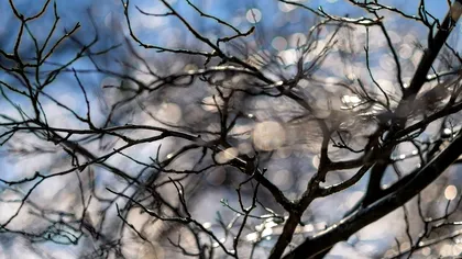 Când se răcește din nou vremea. Primăvara cu temperaturi ridicate se încheie rapid