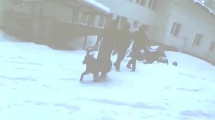 Noi imagini video adâncesc misterul celor șase decese din Bulgaria. Ce au descoperit anchetatorii la autopsii. Ce ar fi făcut bărbații cu câteva zile înainte să moară