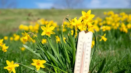 Primăvara vine înainte de 1 martie în România. ANM anunță când încep temperaturile să crească