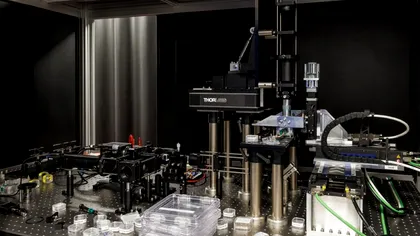 Sticlă obișnuită, date pentru 10.000 de ani: cum vrea Microsoft să reinventeze arhivarea digitală prin Project Silica