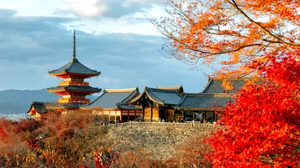 De ce în Japonia nu se folosesc mereu burlane clasice și cum funcționează lanțurile de ploaie