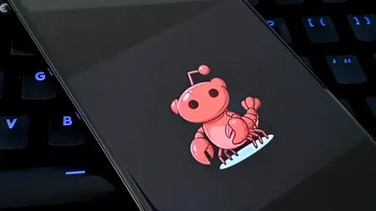 Creatorul controversatului OpenClaw pleacă din Europa. Cum explică mutarea în SUA, motivul din spatele deciziei