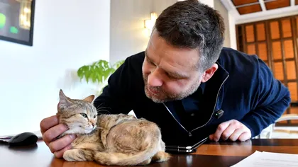 Ciprian Ciucu a salvat un pui de pisoi dintr-un accident și a anunțat că îl va caza la Primăria Capitalei: ”Vom împărți biroul meu pentru că și așa este prea mare” FOTO