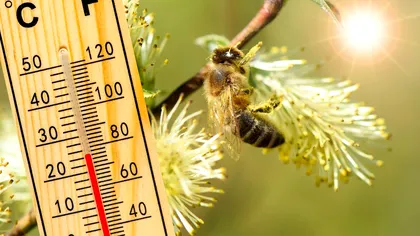 Vine primăvara. Temperaturile cresc brusc în toată ţara, anunţă ANM