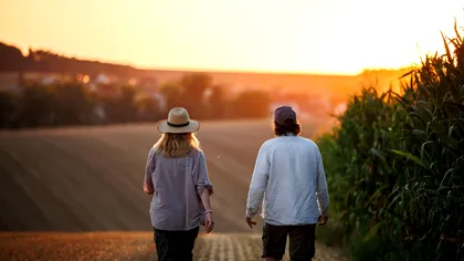 Salariul minim în Germania. Schimbările care au apărut în 2026 pentru sezonieri