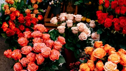 Afacerea care explodează în România: peste 10.000 de firme, dar producătorii locali sunt în criză