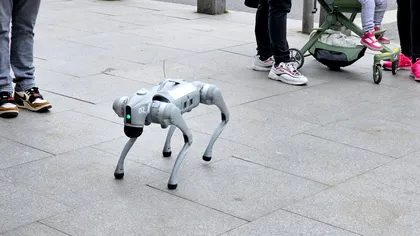 Orașul din România în care câini-robot dotați cu AI patrulează prin centru și „ceartă” cetățenii care nu respectă curățenia