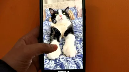 Clipurile video scurte pot crea dependență și afecta concentrarea. Ce spun cercetările despre efectele asupra creierului