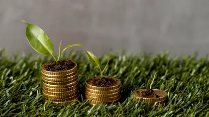 Plata pe hectar de la APIA, mai ușor de obținut în 2026. Ce fermieri sunt avantajați